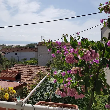 Tanja Apartment