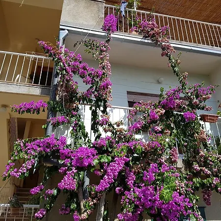 Apartment Tanja