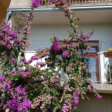 Tanja Apartment